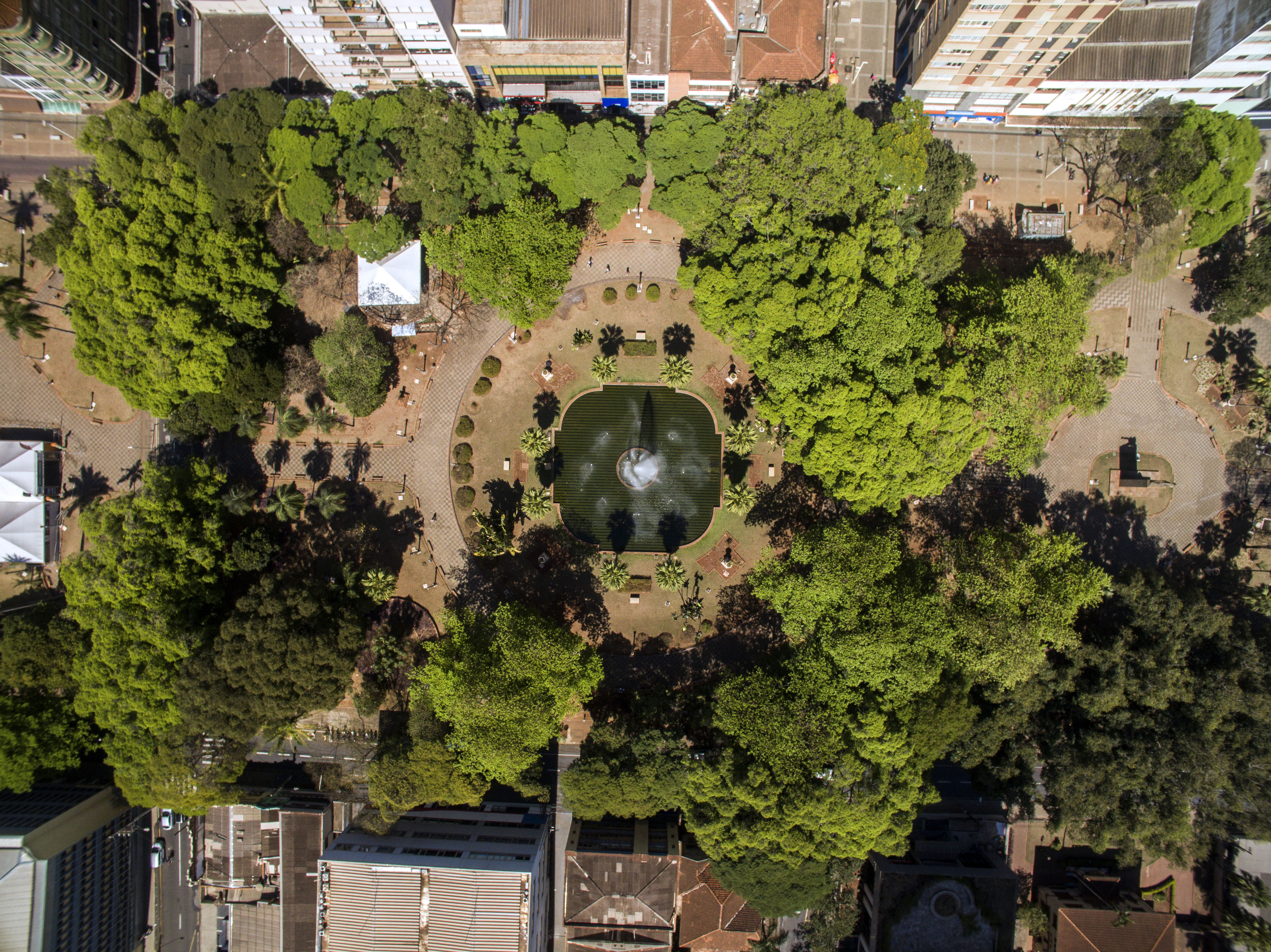 Biodiversidade Urbana